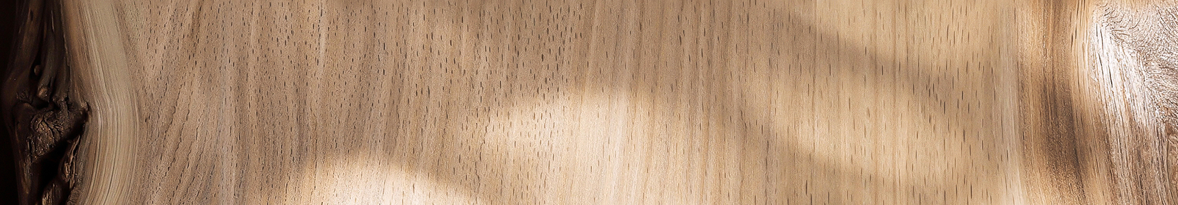 Wood material texture